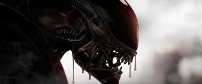 ID обоев: 107663 / Alien (movie), кино, Xenomorph скачать бесплатно картинки