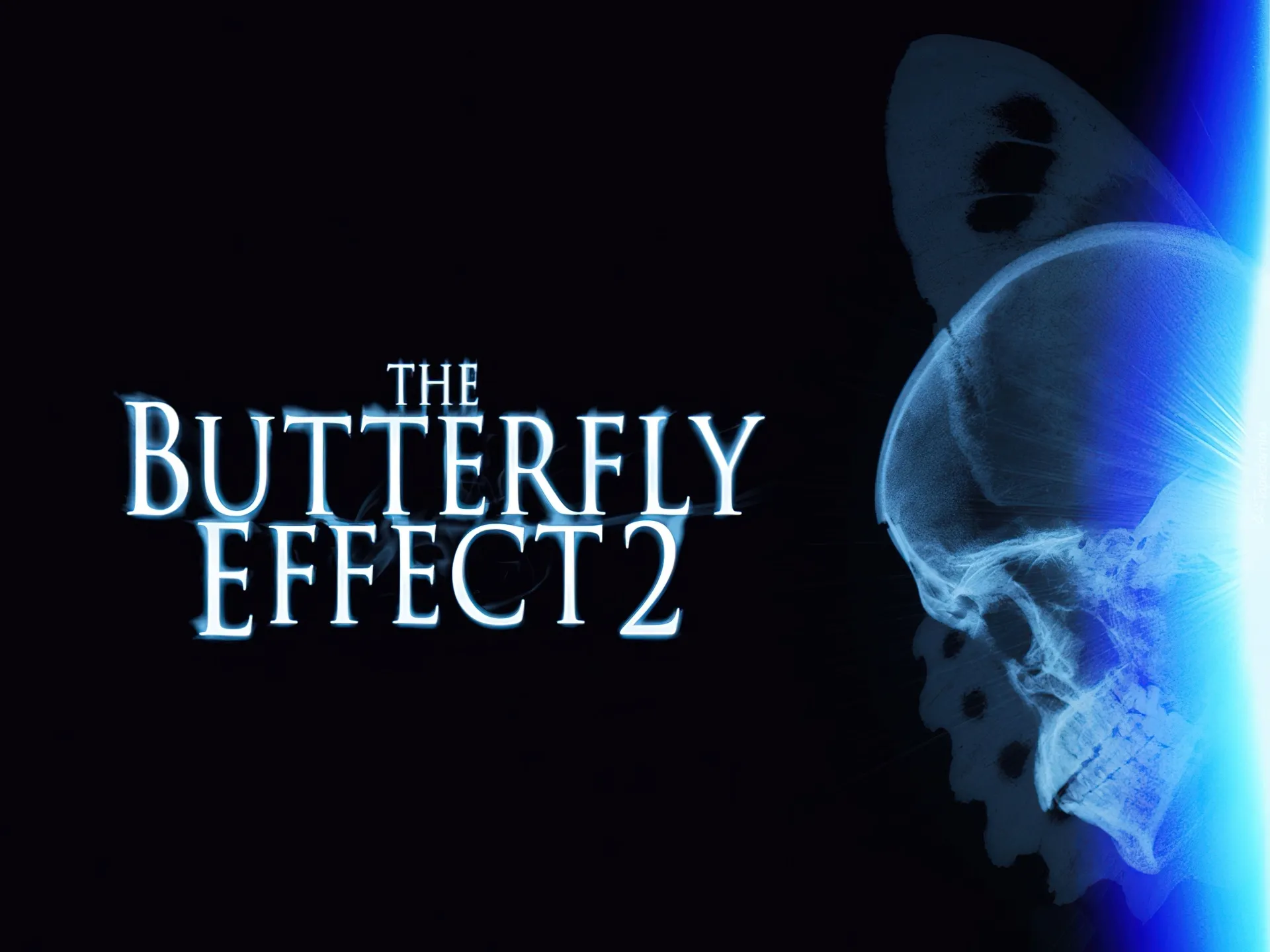 Эффект бабочки фраза. Эффект бабочки 2. Эффект бабочки обои. Эффект бабочки картинки.