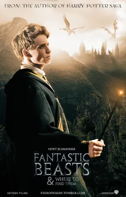 Newt Scamander Movie Poster - Фантастические твари и где они обитают фото (39599537) - Fanpop картинки