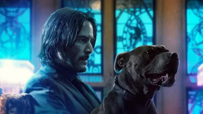 John Wick 2020 Artwork 4k, HD Movies, 4k Wallpapers, Images, Backgrounds, Photos and Pictures картинки