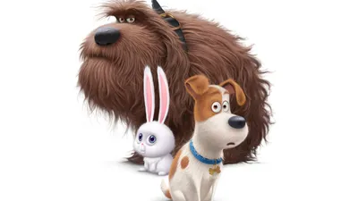 The Secret Life of Pets Movie Dogs, HD Movies, 4k Wallpapers, Images, Backgrounds, Photos and Pictures картинки