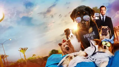 Show Dogs 8k, HD фильмы, 4k обои, изображения, фоны, фото и картинки картинки