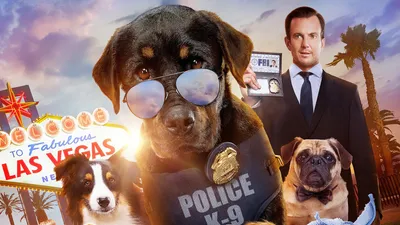 Show Dogs 2018, HD фильмы, 4k обои, изображения, фоны, фотографии и картинки картинки