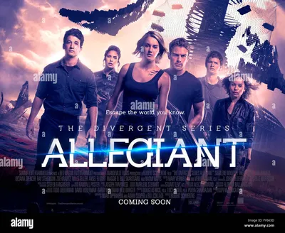 111369 Лучшие фильмы, Энсел Эльгорт, фильм, Шейлин Вудли, The Divergent Series: Allegiant - Rare Gallery HD Wallpapers картинки