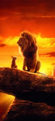 Лучший Король Лев 2019 iPhone HD Обои - iLikeWallpaper картинки