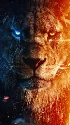 Король Лев обои - обои для iPhone : обои для iPhone картинки