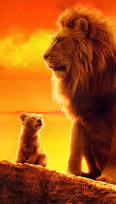 Король Лев Обои 4k Ultra HD ID:3947 картинки