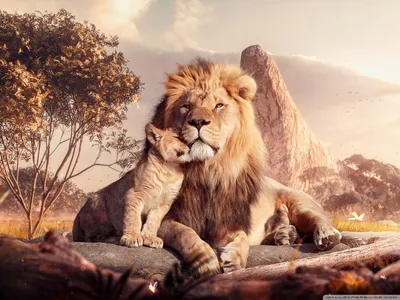 Обои «Король Лев» Ultra HD для рабочего стола 4K UHD TV: широкоэкранный \ u0026 UltraWide Desktop \ u0026 портативный компьютер: планшет: смартфон картинки