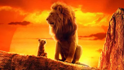 Король Лев 2019 4k Movie, HD Movies, 4k Wallpapers, Images, Backgrounds, Photos and Pictures картинки