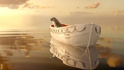 40+ обоев и фонов Life of Pi HD картинки