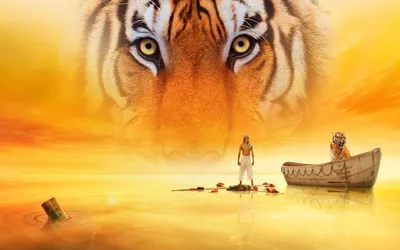 Life of Pi Wallpapers - Лучшие бесплатные обои Life of Pi картинки