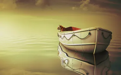 40+ обоев и фонов Life of Pi HD картинки