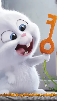 Обои Тайная жизнь домашних животных, кролик, Best Animation Movies of 2016, мультфильм, Фильмы #10538 картинки