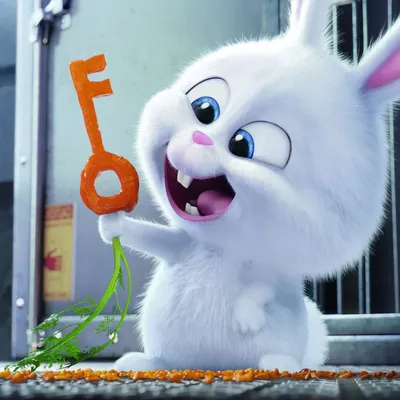 Тайная жизнь домашних животных 2016 Кролик Снежок #cute #lovely #rabbit #movie # Film #the-secret-life-of-pets | Gambar kelinci, Lukisan disney, Kartun картинки