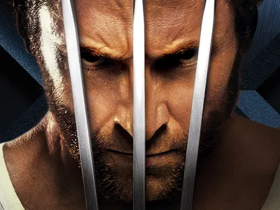 X-Men Origins: Wolverine X-Men Origins: Wolverine Wallpaper - Sabretooth Wallpaper - X-Men Origins: Wolverine X-Men Origins: Wolverine Wallpaper - Sabretooth Backgrounds (1680 x 1050) картинки