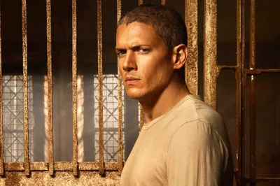 Prison Break Season Prison Break Prison Break Prison Break Prison Break В ролях Prison Break: Final Break Изображения Валерии | Испанские изображения картинки