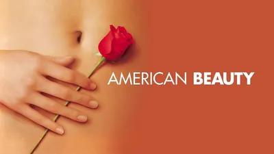 Тора Берч в роли Джейн Бернхэм в American Beauty - Тора Берч фото (38932820) - Fanpop картинки