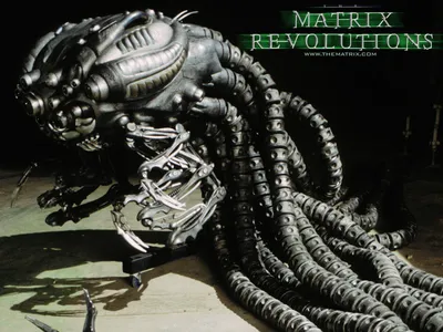 Matrix Revolutions Wallpaper - Матрица Обои (2528252) - Fanpop картинки