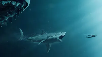 The Meg Movie 4k, HD Movies, 4k Wallpapers, Images, Backgrounds, Photos and Pictures картинки