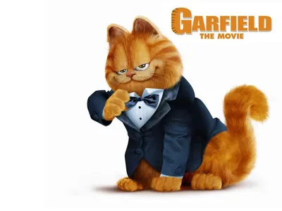 Хвост Гарфилда из Two Kitties Garfield Film Ultra Hd Фоны для фильмов Película Garfield: A Tail из Two Kitties Изображения для Winnah | Испанские изображения картинки