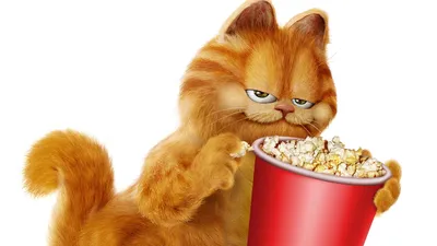 Garfield Movie Cartoon Backgrounds For Lumia Cartoons Backgrounds HD обои для телефона картинки