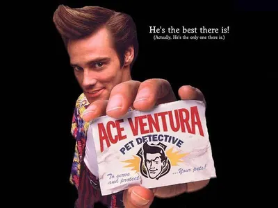 Kostenloser Versand Classic Movie Ace Ventura: PET Detektiv HD Stoff dekorative Tapete Poster 36 "x 24"/20 "x 13"|wallpaper film|wallpaper hondawallpaper Glue АлиЭкспресс картинки