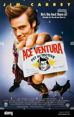 ACE VENTURA: PET DETECTIVE, Джим Керри, 1994, ©Warner Bros. Pictures/любезно предоставлено Everett Collection Stock Photo - Alamy картинки