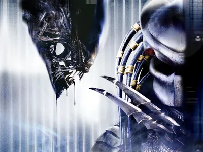 AvP Movie Wallpaper - Alien vs. Predator Galaxy картинки