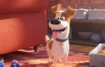 Обои язык, радость, собака, пёс, Тайная жизнь домашних животных 2, The Secret Life of Pets 2 картинки на рабочий стол, раздел фильмы - скачать картинки