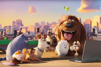 Как Secret Life of Pets 2 может научить ваших детей ценным урокам картинки