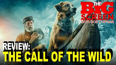 theHunter: Call of the Wild Wallpapers - Лучшие бесплатные обои theHunter: Call of the Wild картинки