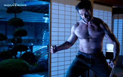 X-Men Origins Wolverine Movie Wallpapers 06 Превью | 10wallpaper.com картинки