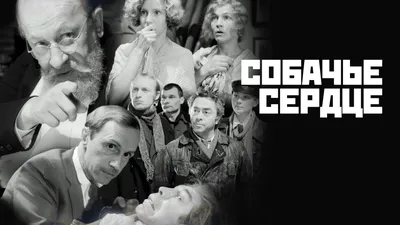 Собачье сердце (фильм, 1988) — смотреть онлайн все серии подряд в хорошем  качестве картинки