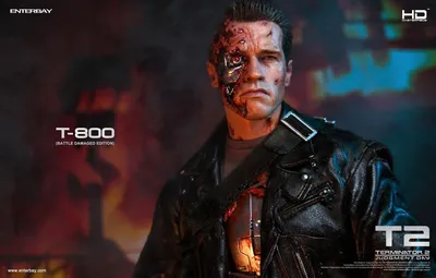 Терминатор Терминатор 2: Судный день Арнольд Шварценеггер #T-800 The Terminator #720P #wallpaper #hdwallpape… в 2022 | Терминатор, Арнольд Шварценеггер, Шварценеггер картинки