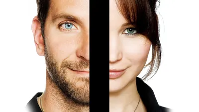 Silver Linings Playbook HD обои картинки