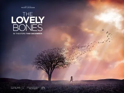 The Lovely Bones Wallpapers - Топ бесплатных фонов The Lovely Bones картинки