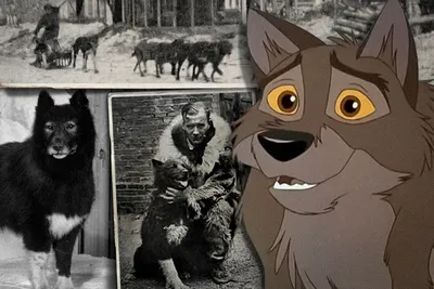 Balto II: Wolf Quest Pictures - Rotten Tomatoes картинки