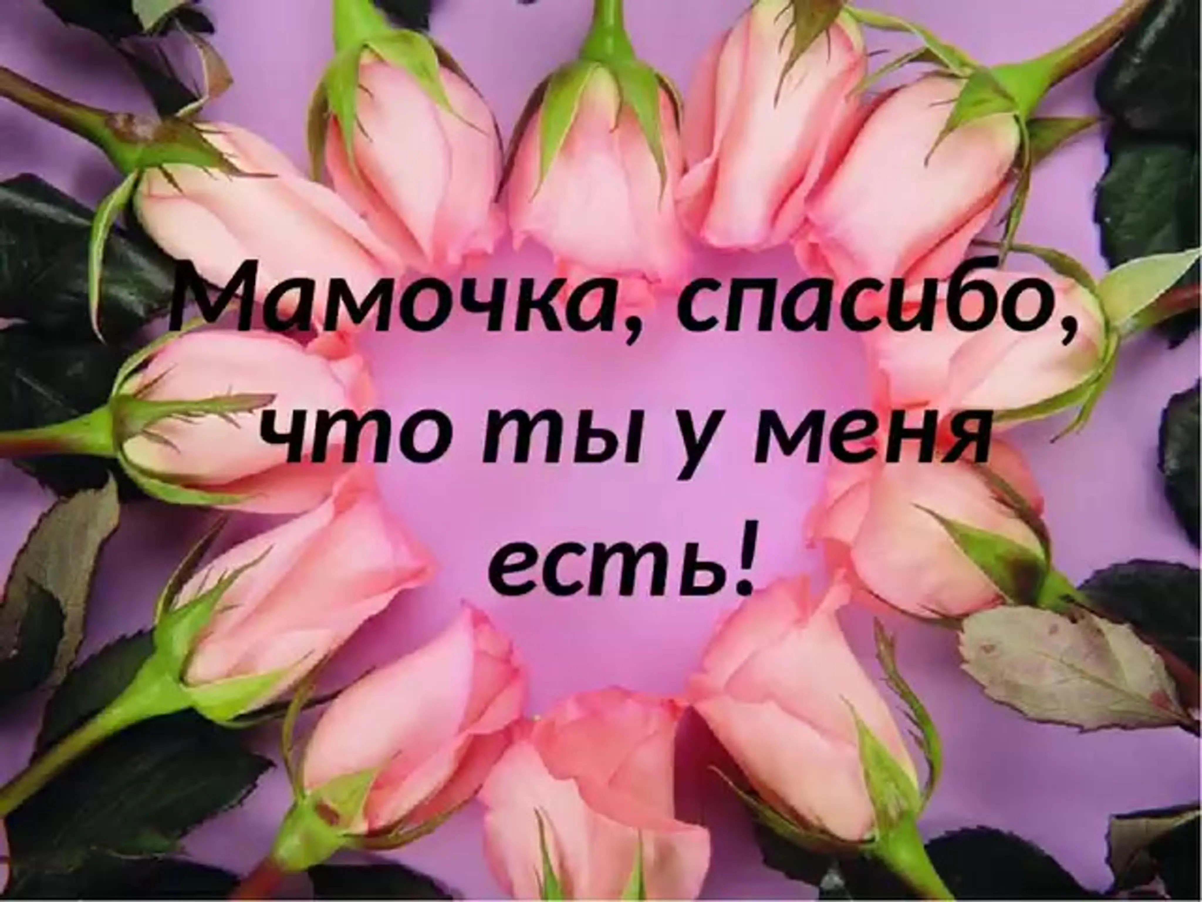 спасибо мама что родила меня