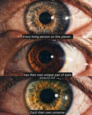 Best_Movie_Quotes в Instagram: «Фильм - I Origins _ _ _ #iorigins #любопытство #inspiringquotes #goodquote #movie… | Лучшие цитаты из фильмов, Инстаграм фильм, Цитаты из фильмов картинки