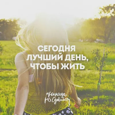 Сегодня лучший день, чтобы жить | Motivation, Thoughts, Quotes картинки