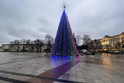 Общественный транспорт бесплатно доставит к зажжению Вильнюсской  рождественской елки - RU.DELFI картинки