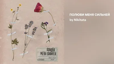 никита соль (nikita sol) - отвратительная (disgusting) Lyrics and Tracklist  | Genius картинки