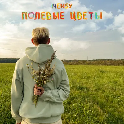 Полевые цветы - HENSY (Текст песни) - Меломанчик картинки