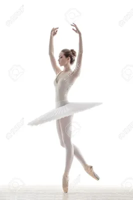 Young Beautiful Dancer Posing On A Studio Background Фотография, картинки,  изображения и сток-фотография без роялти. Image 17658305. картинки