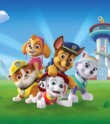 Фотообои Paw Patrol Premium | Купить сейчас картинки