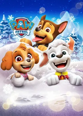 Keilrahmenbild Paw Patrol B/L: ок. 70x33 см ▷ онлайн в POCO kaufen картинки