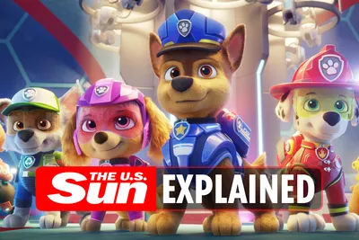 Paw Patrol Щебень, Bulldog Patrol, другие, лапа, другие, обои для рабочего стола png | PNGWing картинки