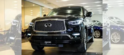 Infiniti QX80, 2020 купить в Москве | Автомобили | Авито картинки