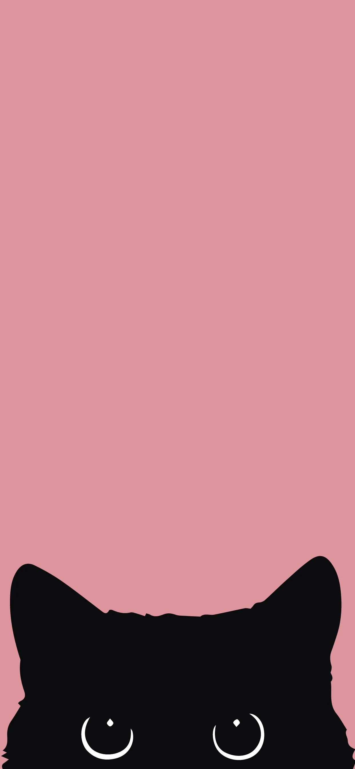 Котик на розовом фоне