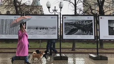 Скачать Ваня Чебанов - Ты №1 клип бесплатно картинки